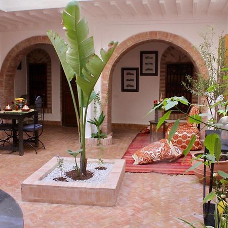 מרקש La Maison Berber Shams מראה חיצוני תמונה